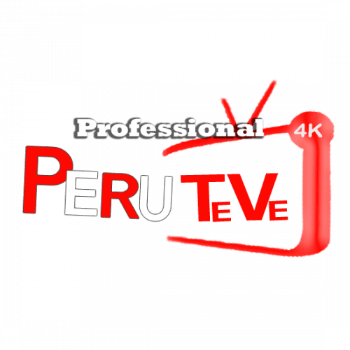 Plan Professional